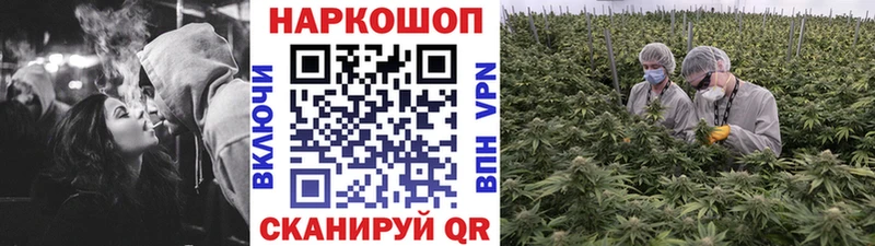 Альфа ПВП Тобольск