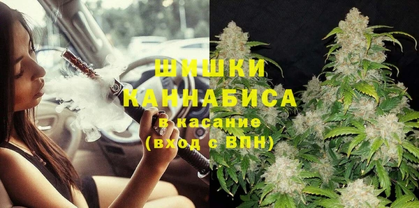винт Богданович