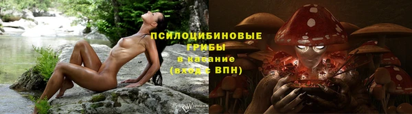 прущие крисы Богородицк