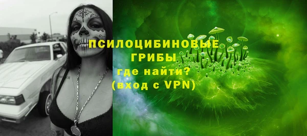 винт Богданович