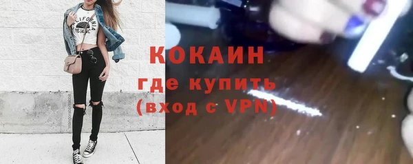 винт Богданович