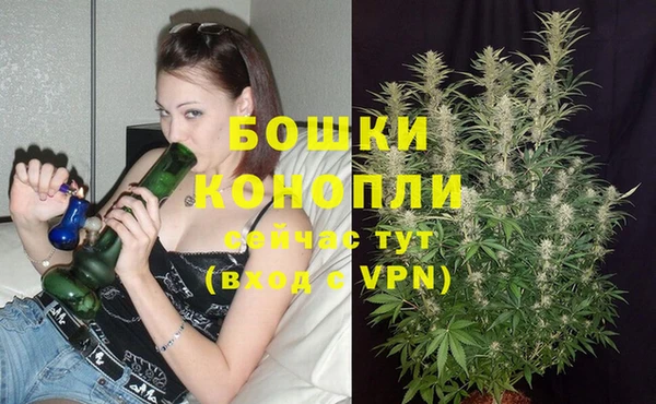 прущий лед Богородск