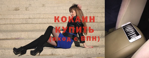 винт Богданович