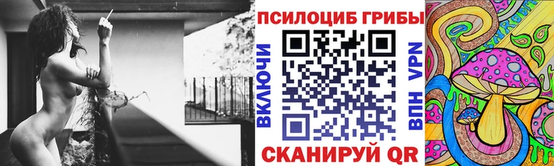 Псилоцибиновые грибы Psilocybe  цены наркотик  Тобольск 